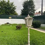 Casa Da Pontelha Ponte de Lima